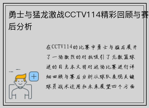 勇士与猛龙激战CCTV114精彩回顾与赛后分析