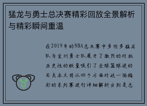 猛龙与勇士总决赛精彩回放全景解析与精彩瞬间重温