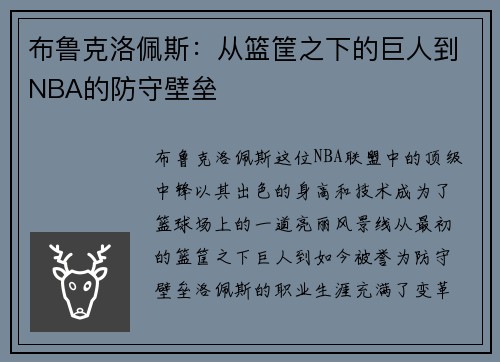 布鲁克洛佩斯：从篮筐之下的巨人到NBA的防守壁垒