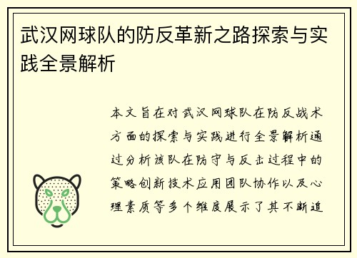 武汉网球队的防反革新之路探索与实践全景解析