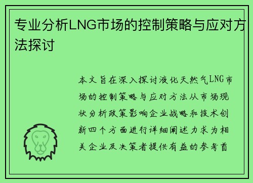 专业分析LNG市场的控制策略与应对方法探讨