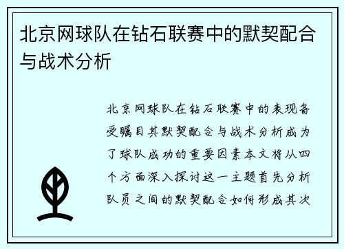 北京网球队在钻石联赛中的默契配合与战术分析