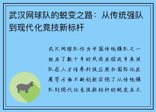 武汉网球队的蜕变之路：从传统强队到现代化竞技新标杆