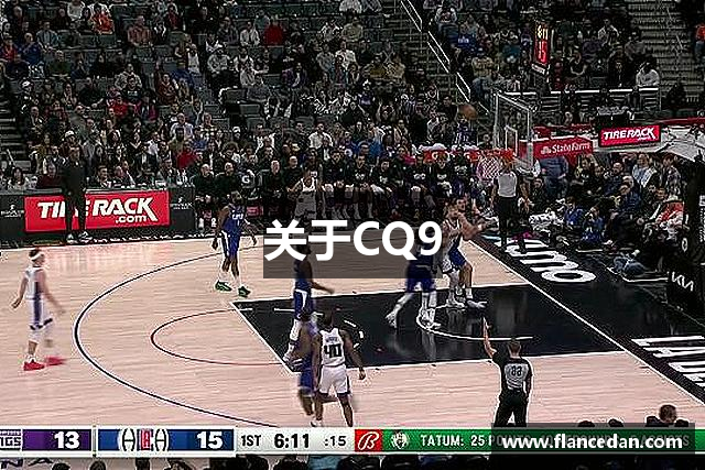 关于CQ9